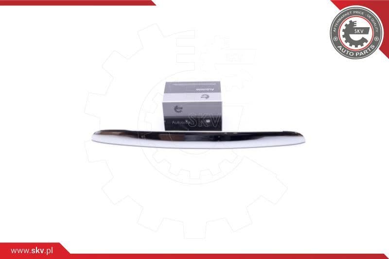 Tailgate Handle 96SKV924