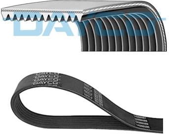 V-ribbed Belt 12PK1890HD