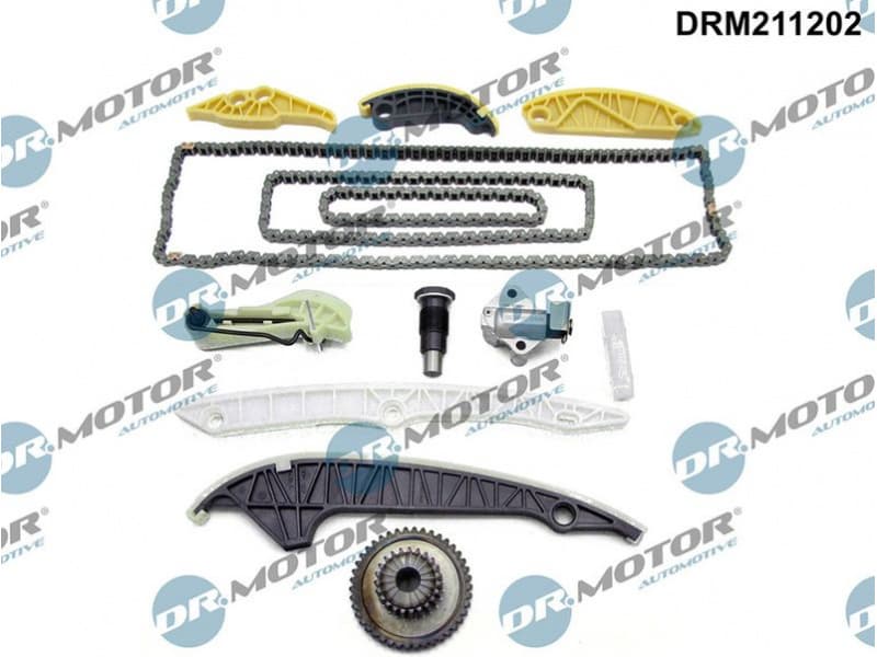 Timing Chain Kit DRM211202