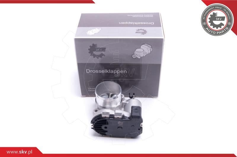 Throttle Body 12SKV111