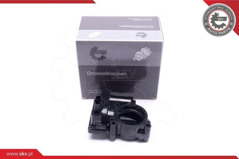 Throttle Body 12SKV107