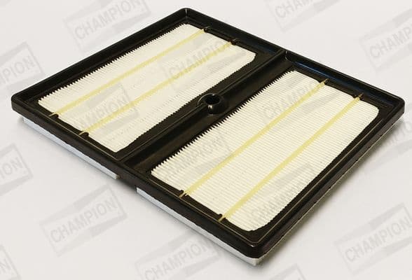 Air Filter CAF101388P