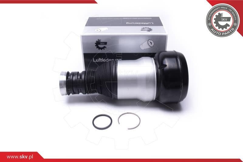 Air Suspension Strut 58SKV071