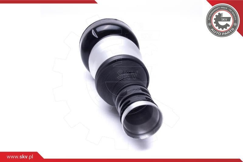 Air Suspension Strut 58SKV071 - image 2