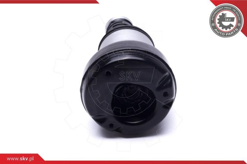 Air Suspension Strut 58SKV071 - image 3