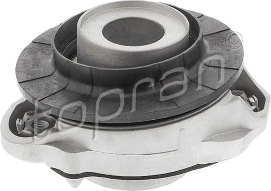 Suspension Strut Support Mount 724 037