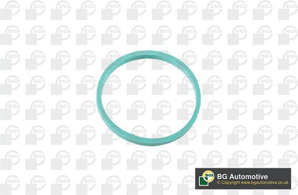 Gasket, intake manifold RW4353