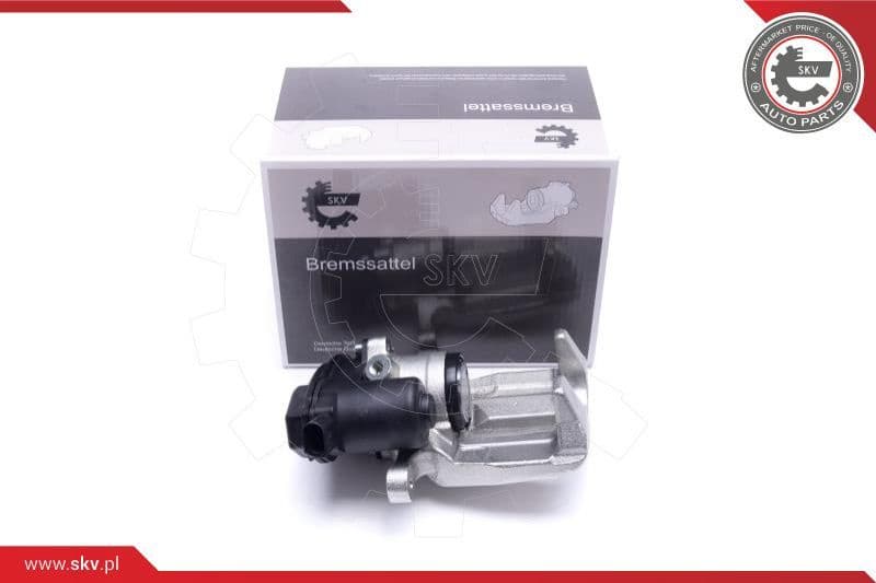 Brake Caliper 55SKV933