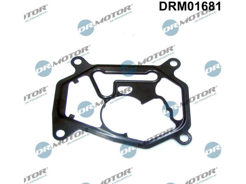 Gasket, vacuum pump DRM01681