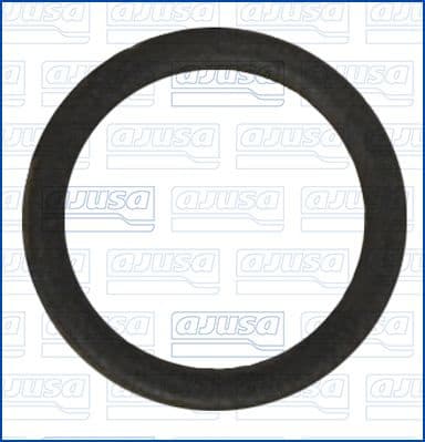 Seal Ring, coolant pipe 01276300