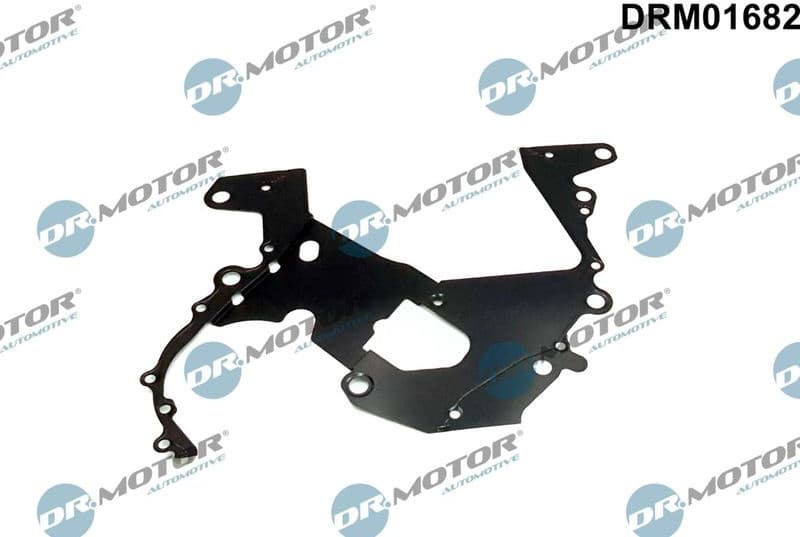 Gasket, timing case DRM01682