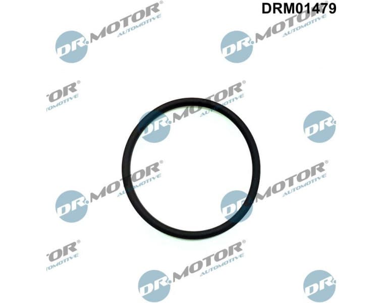 Seal, injection pump DRM01479