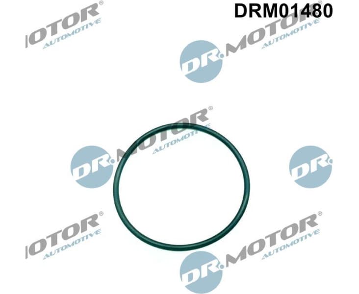 Seal, injection pump DRM01480