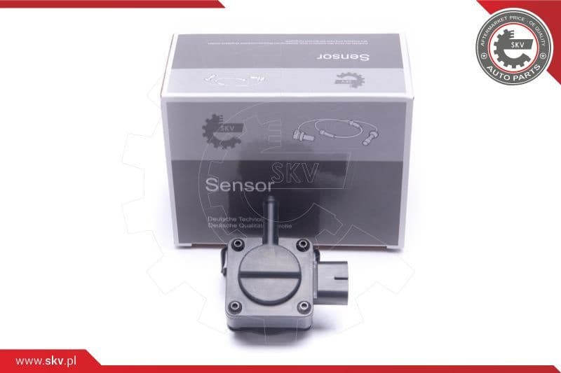 Sensor, exhaust pressure 17SKV666