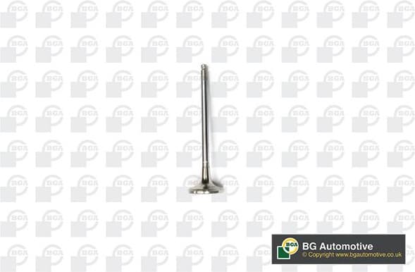 Exhaust Valve V141081