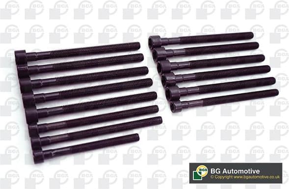Cylinder Head Bolt Set BK3343
