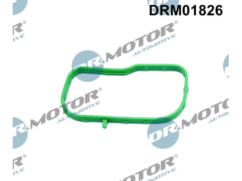 Gasket, intake manifold DRM01826