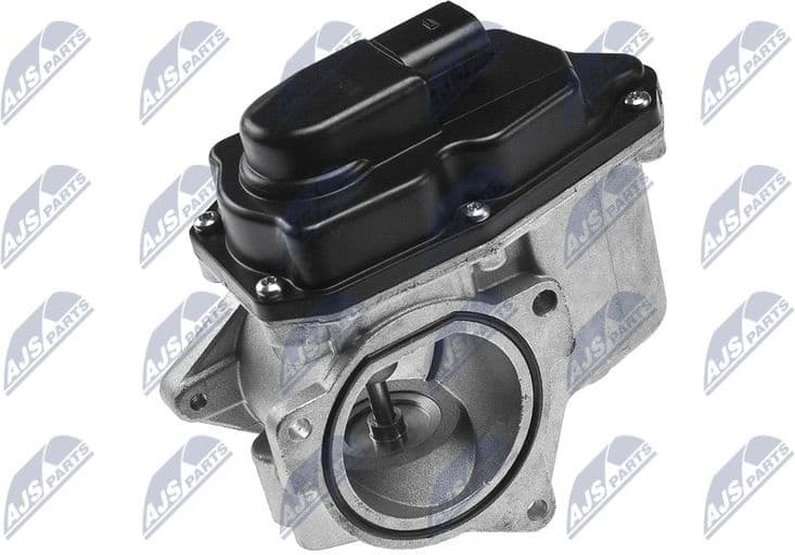 EGR Valve EGR-AU-002