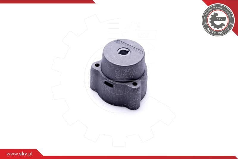 Ignition Switch 96SKV931