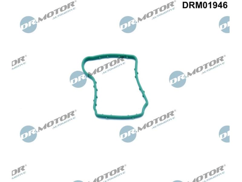 Gasket, crankcase ventilation DRM01946