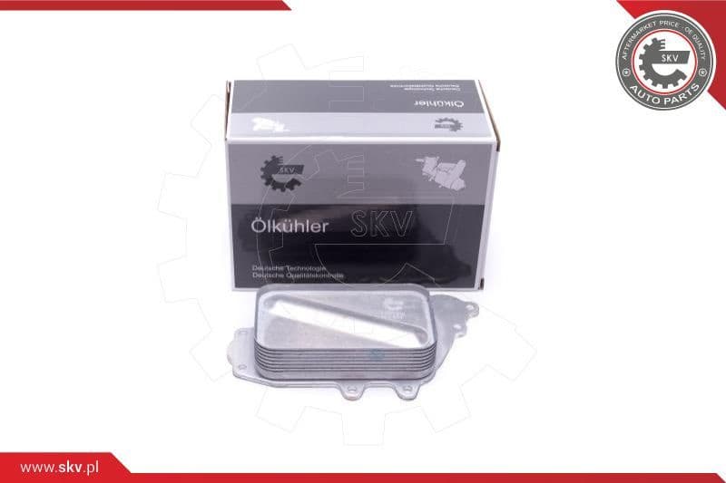 Oil Cooler, engine oil 31SKV218