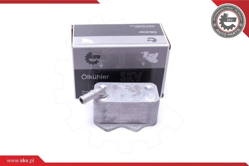 Oil Cooler, engine oil 31SKV206