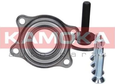 Bearing wheel 5500130