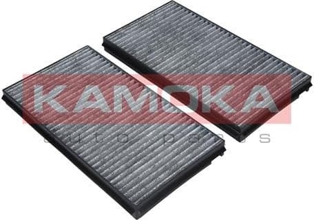 Filter, cabin air F505301 - image 6