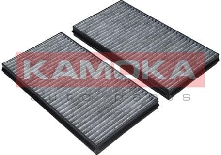 Filter, cabin air F505301 - image 8