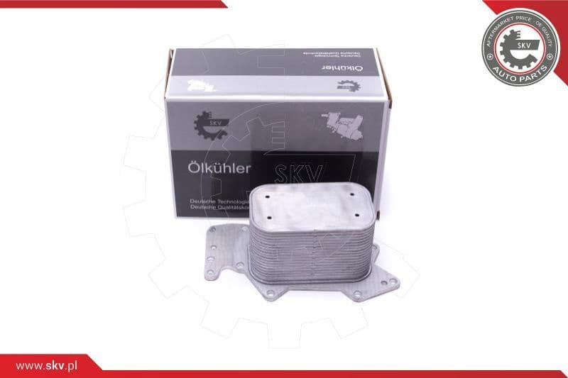 Oil Cooler, engine oil 31SKV213
