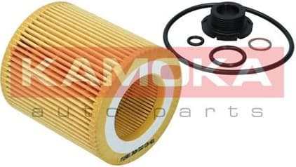 Oil Filter F119801 - image 8