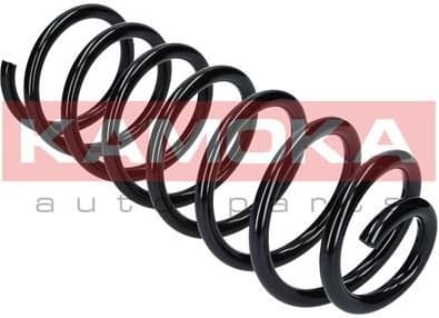 Coil spring 2120142 - image 6