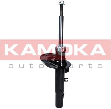Shock absorber front 2000506