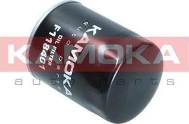 Oil Filter F118401 - image 6