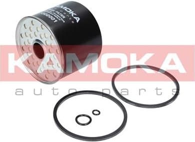 Fuel Filter F302001 - image 5