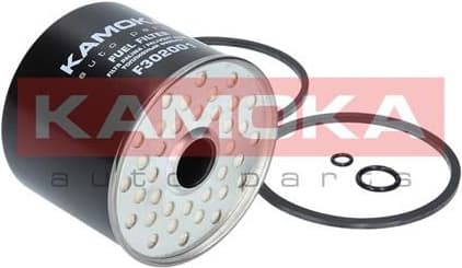 Fuel Filter F302001 - image 8