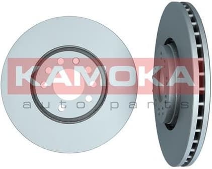 Brake discs kit front (2pcs) 1031125