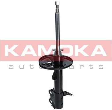 Shock Absorber 2000252