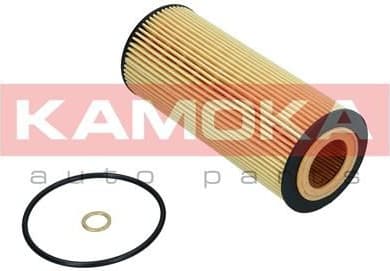 Oil Filter F106101 - image 10
