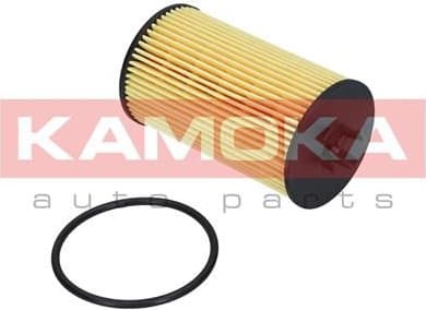 Oil Filter F106001 - image 6