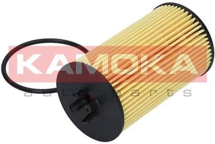 Oil Filter F106001 - image 7