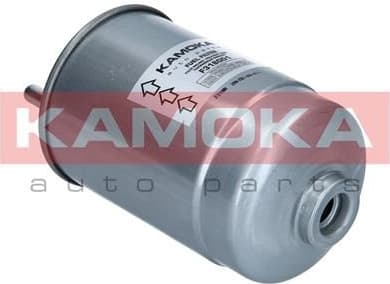 Fuel Filter F318001 - image 5