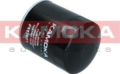 Oil Filter F117801 - image 6