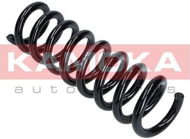 Coil spring 2120179 - image 6