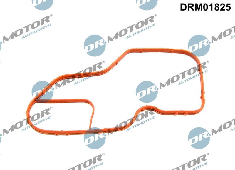 Gasket, thermostat housing DRM01825