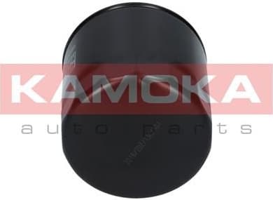 Oil Filter F102901 - image 7