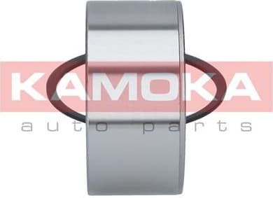 Wheel Bearing Kit 5600072 - image 8