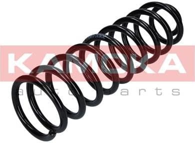 Suspension Spring 2120212 - image 8