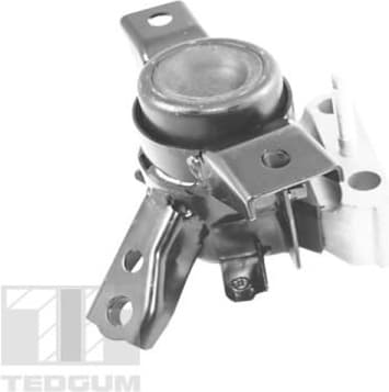 Mounting, engine TED13922