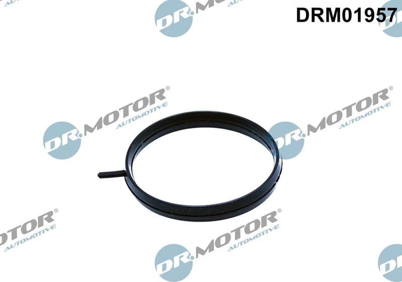 Gasket, throttle body DRM01957